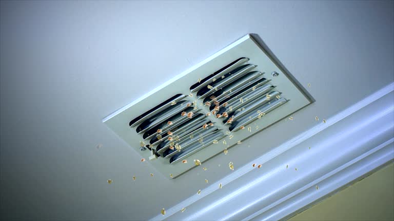 Best Local Air Duct Cleaning Services  in Fredericksburg, IA