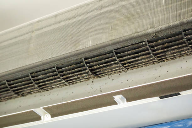 Best Home Air Vent Cleaning  in Fredericksburg, IA